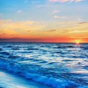 Meet your Posher, Sylvia